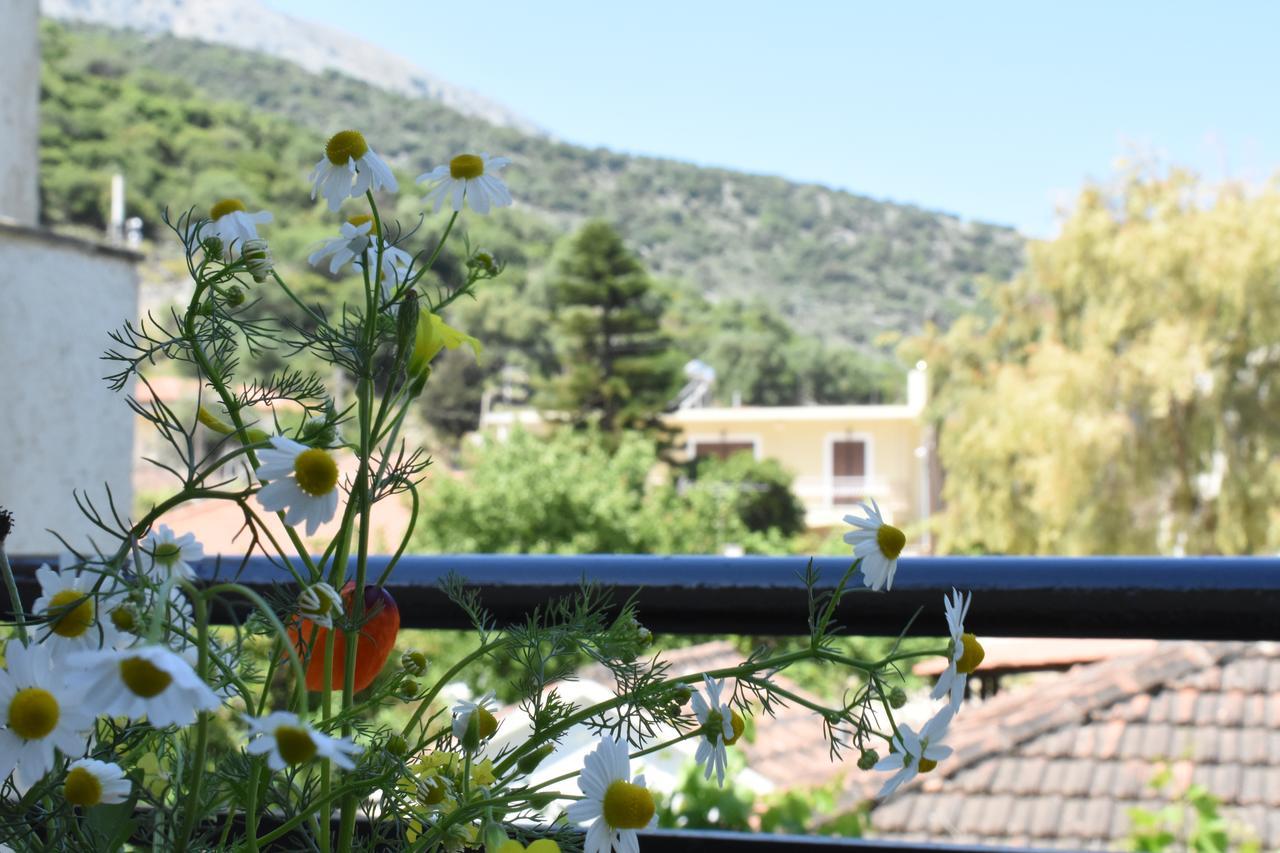 Starvillas Apartments And Studios Agia Efimia エクステリア 写真